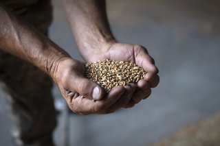 Le président turc veut convaincre son homologue russe de réintégrer l'accord sur l'exportation de céréales ukrainiennes (image d'illustration).